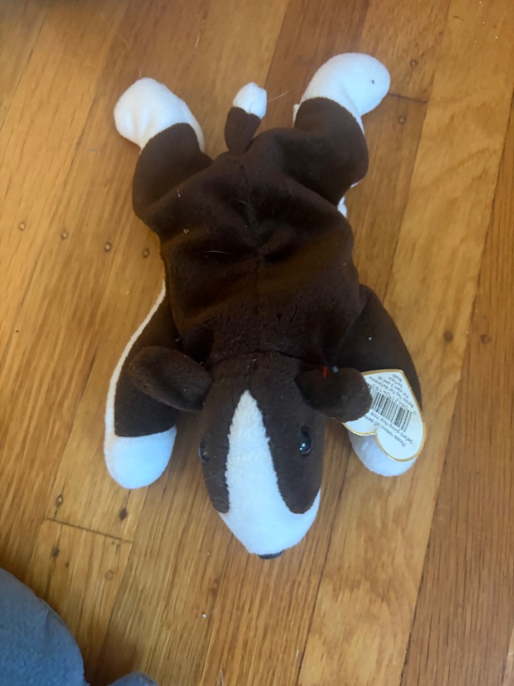 Ty Beanie Baby "Bruno" the Bull Terrier Dog (1997) w/ Hang Tag